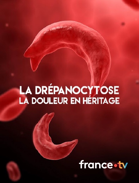 france.tv - La drépanocytose, la douleur en héritage