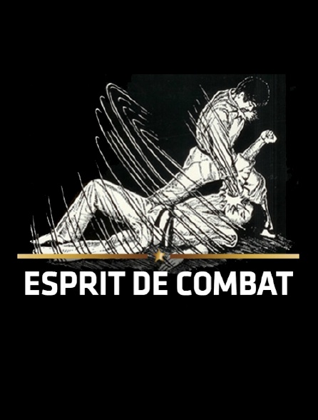 Esprit de combat