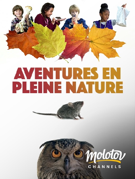 Mango - Aventures En Pleine Nature