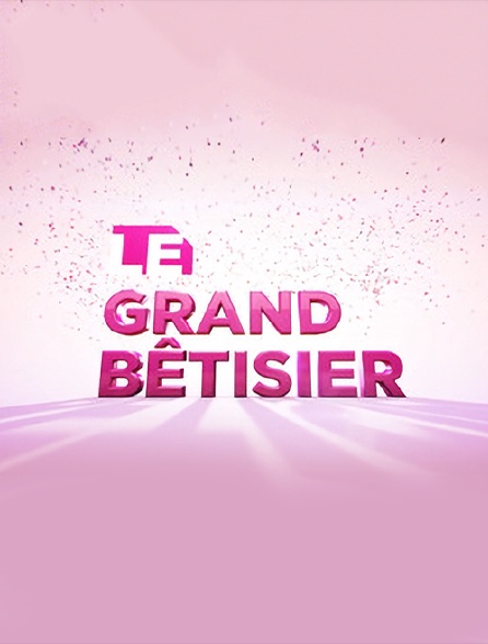 Le grand bêtisier de 6ter