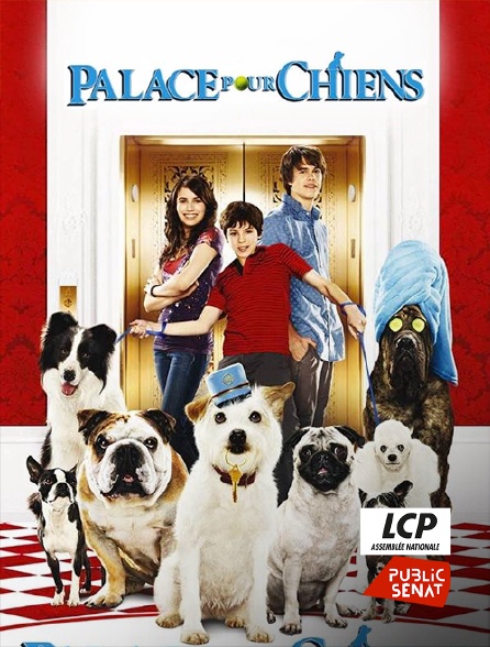 LCP Public Sénat - Palace pour chiens