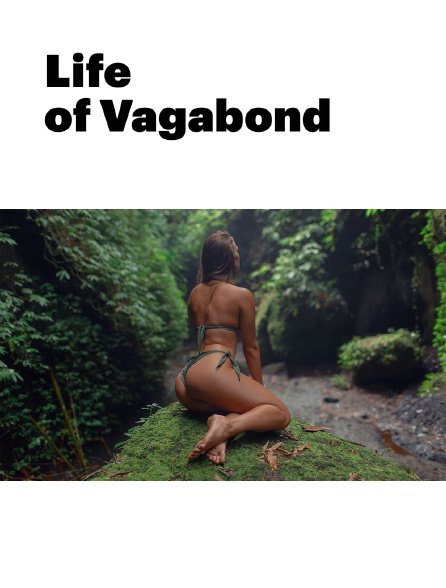 Life of Vagabond