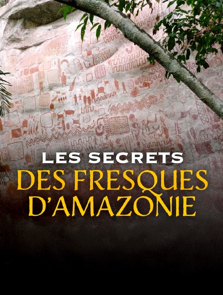 Les secrets des fresques d'Amazonie