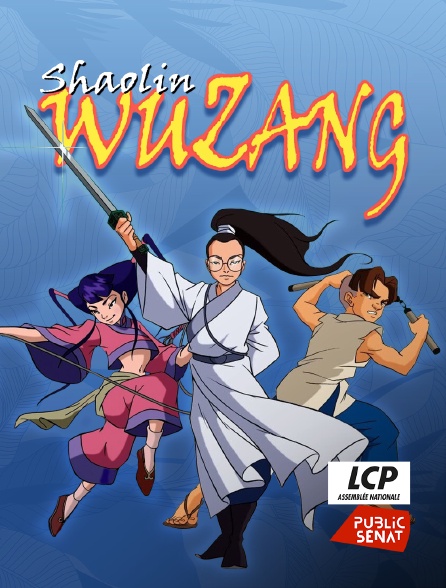 LCP Public Sénat - Shaolin Wuzang