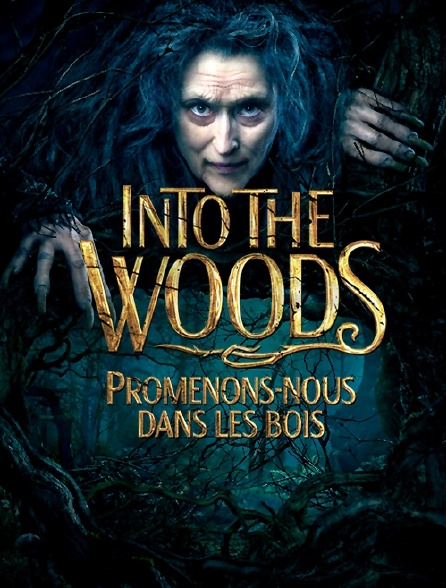 Into the Woods : promenons-nous dans les bois