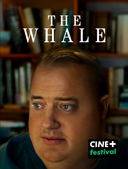 CINE+ Festival - The Whale