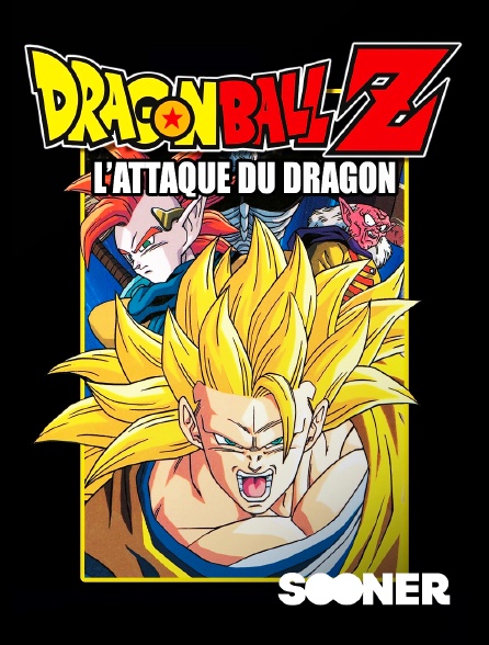 Sooner - Dragon Ball Z : L'attaque du dragon