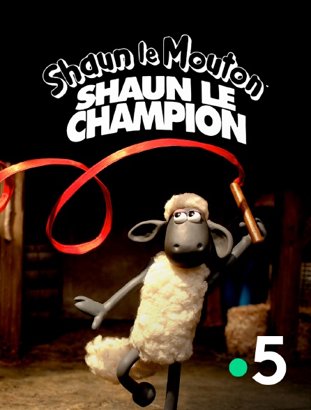 France 5 - Shaun le champion