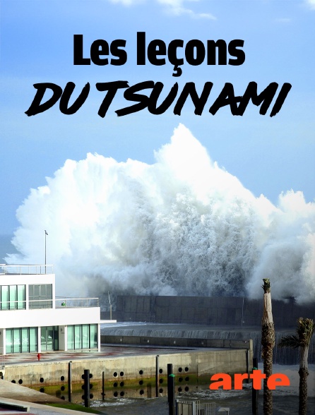 Arte - Thaïlande 2004 : Les leçons du tsunami