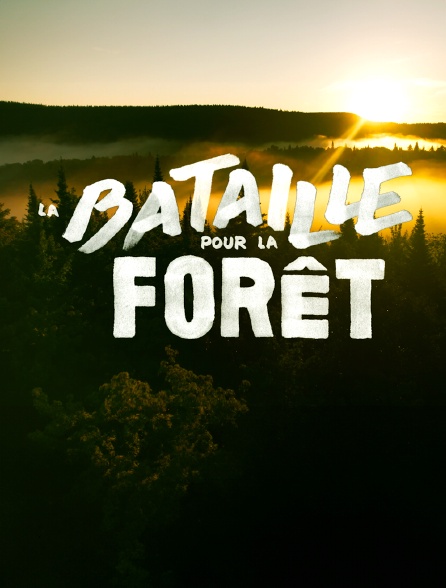 La Bataille pour la forêt