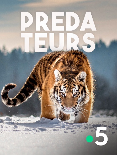 France 5 - Prédateurs