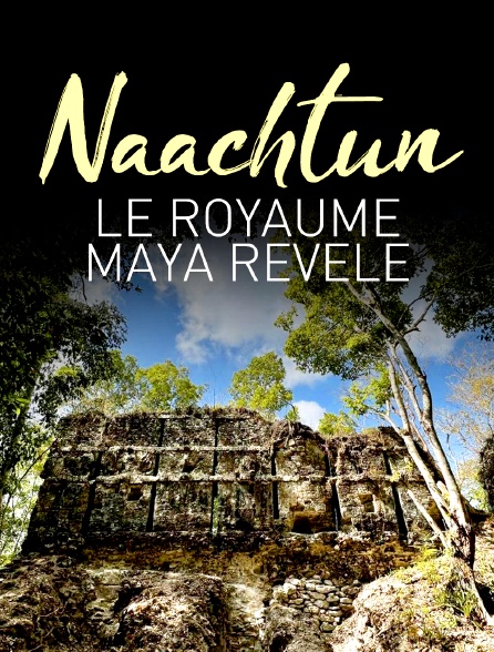 Naachtun, le royaume maya révélé