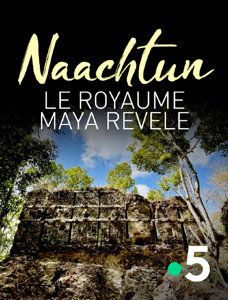 France 5 - Naachtun, le royaume maya révélé