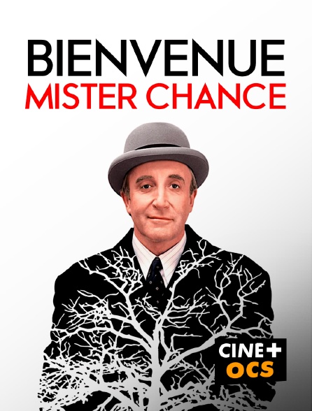 CINÉ Cinéma - Bienvenue mister chance