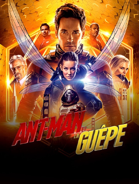 Ant Man Et La Guêpe Résumé Ant-Man et La Guêpe en Streaming - Molotov.tv
