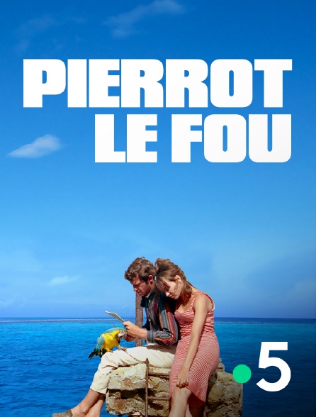 France 5 - Pierrot le fou