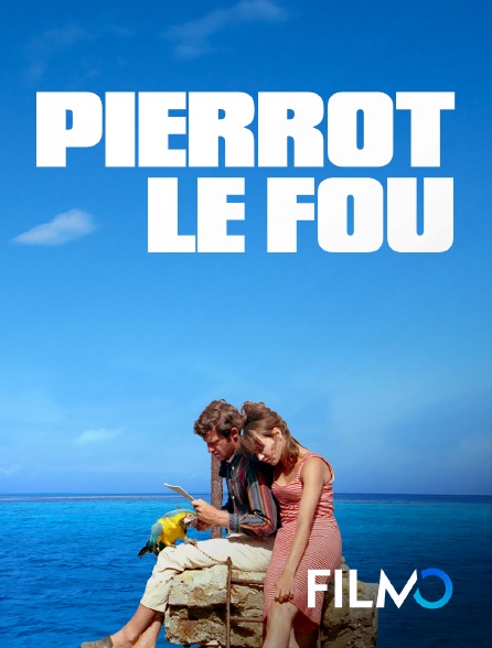 FilmoTV - Pierrot le fou