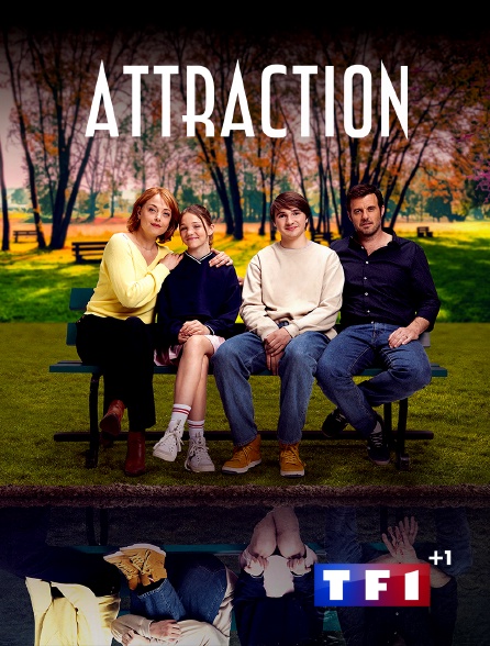 TF1 +1 - Attraction