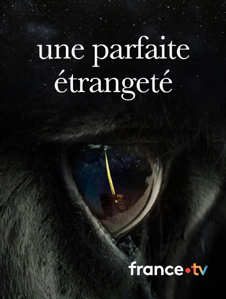 france.tv - Une parfaite étrangeté
