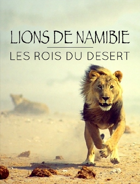 Lions de Namibie, les rois du désert