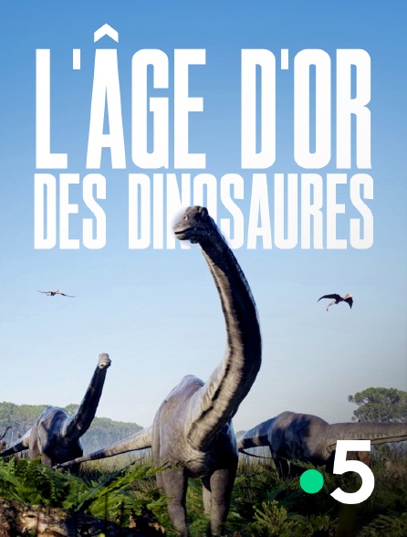 France 5 - L'âge d'or des dinosaures