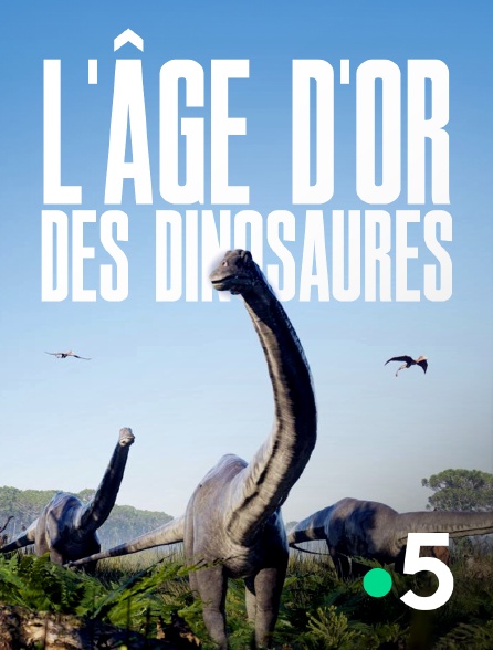 France 5 - L'âge d'or des dinosaures en replay