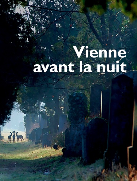 Vienne avant la nuit