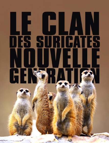 Le clan des suricates, nouvelle génération