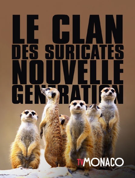 TV Monaco - Le clan des suricates, nouvelle génération - 17/09/2024 à 09h45