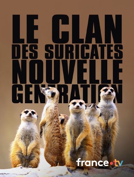 France.tv - Le clan des suricates, nouvelle génération