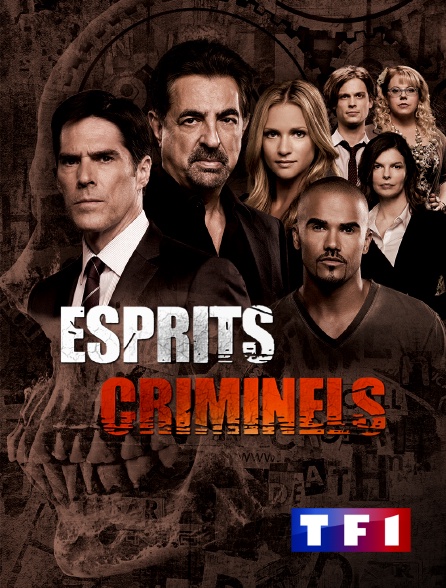 TF1 - Esprits criminels