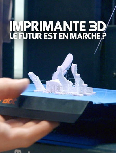 Imprimante 3D, le futur est en marche ?