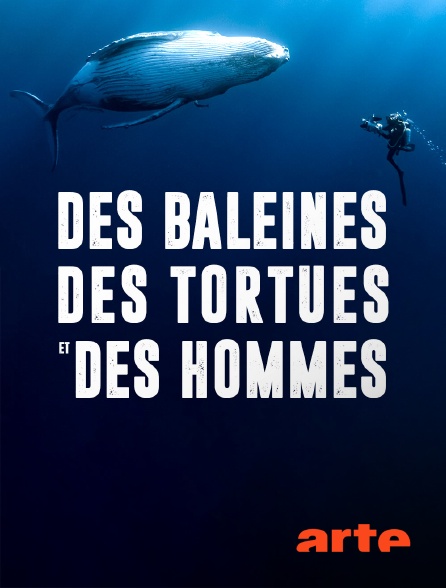 Arte - Des baleines, des tortues et des hommes
