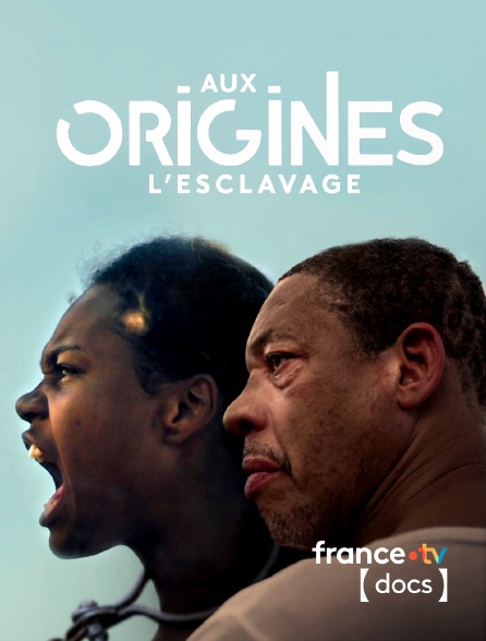 France TV Docs - Aux origines, l'esclavage
