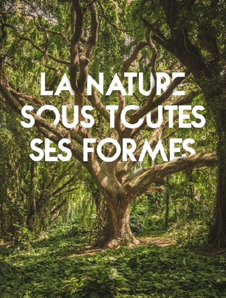 La nature sous toutes ses formes