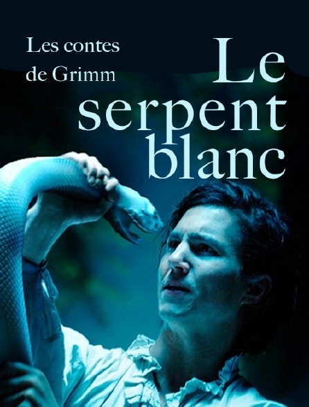 Les contes de Grimm