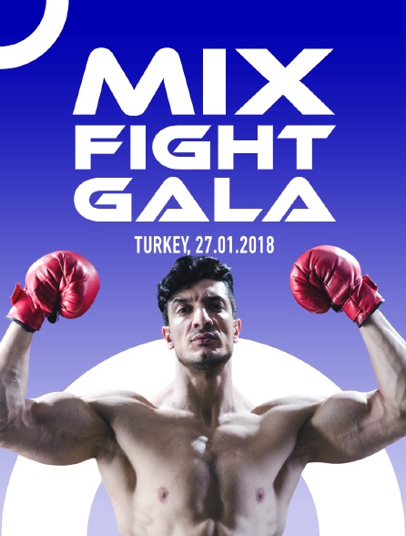 Mix Fight Gala, Turkey, 27.01.2018