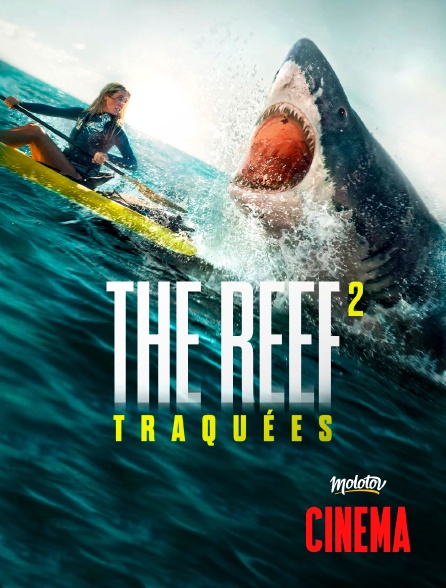 Molotov Channels Cinéma - The Reef 2 : Traquées