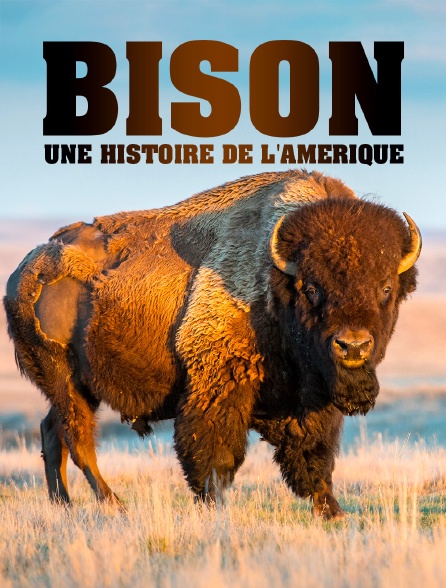 Bison : une histoire de l'Amérique