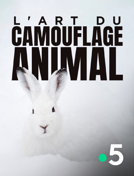 France 5 - L'art du camouflage animal