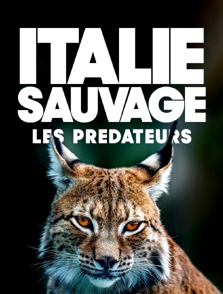 Italie sauvage : les prédateurs