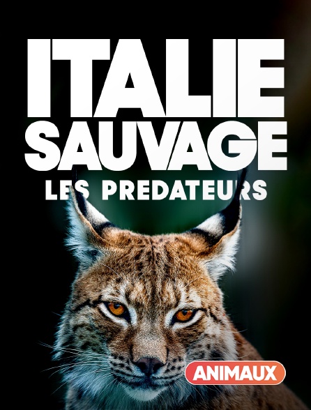 Animaux - Italie sauvage : les prédateurs