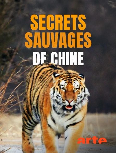 Arte - Secrets sauvages de Chine