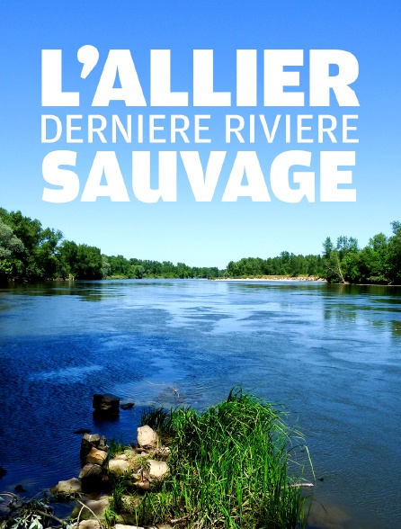 L'Allier, dernière rivière sauvage