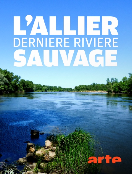 Arte - L'Allier, dernière rivière sauvage