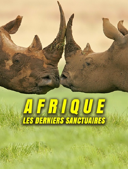 Afrique : les derniers sanctuaires