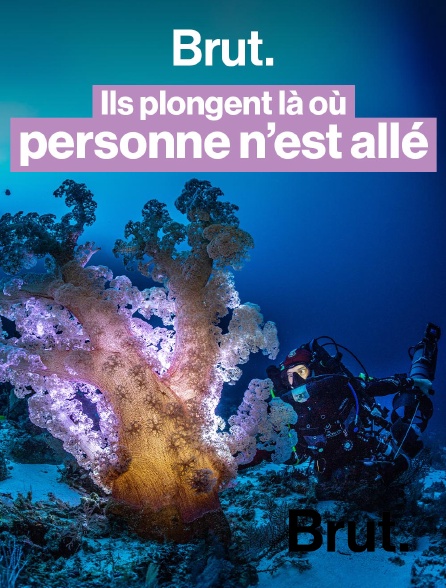 Brut - J'ai suivi l'explorateur Laurent Ballesta, photographe sous-marin, pour sa mission au bout du monde en replay