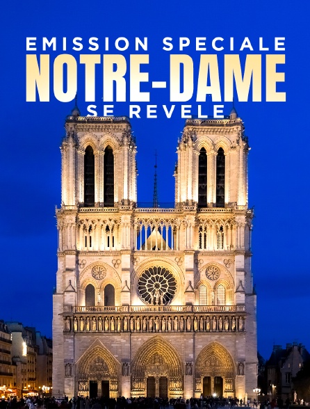 Emission spéciale : Notre-Dame se révèle