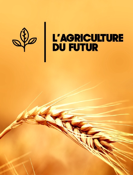 L'agriculture du futur