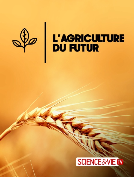 Science et Vie TV - L'agriculture du futur